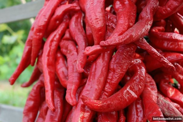 博彩平台优惠：存款活动规则与备用域名使用全攻略